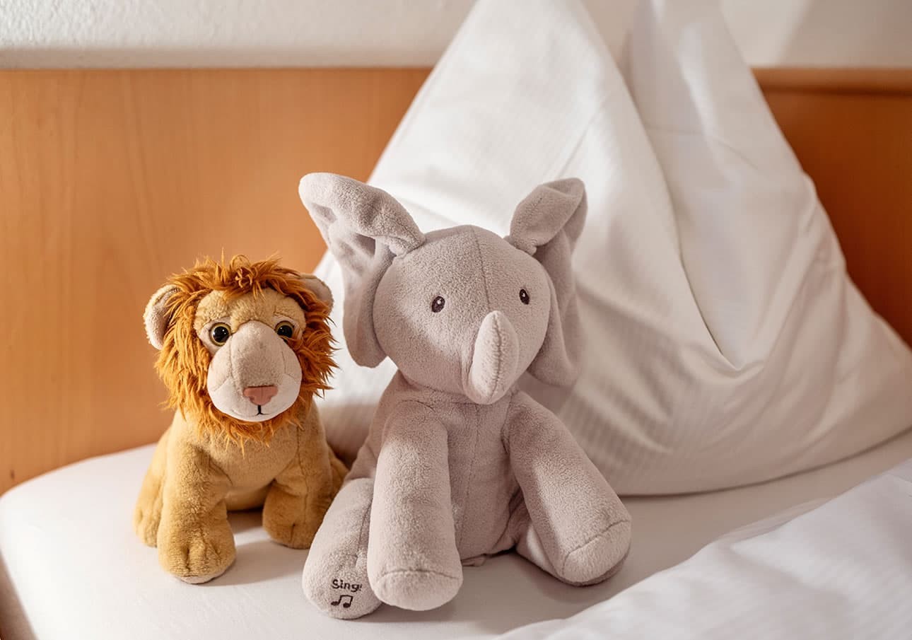Schladzimmer in der Ferienwohnung Aigenbergblick im Ferienhaus Hubertus
